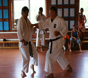 Honbu Dojo Федерации